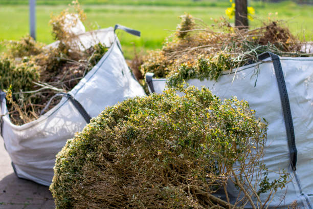 Best Appliance Removal Near Me  in Darien, WI